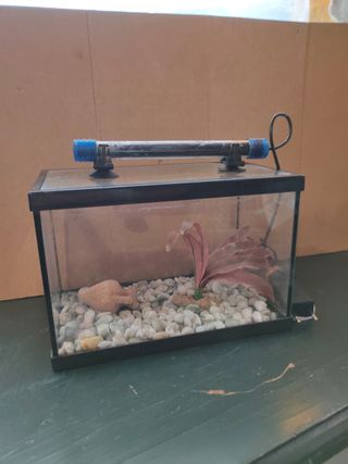 Mini Acuario 6L accesorios