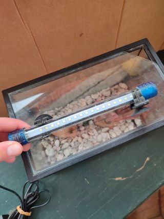 Mini Acuario 6L accesorios