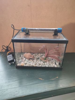 Mini Acuario 6L accesorios