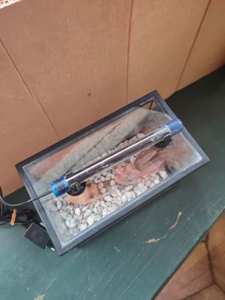 Mini Acuario 6L accesorios