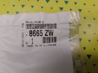 Embellecedor retrovisor Tepee 8665ZW