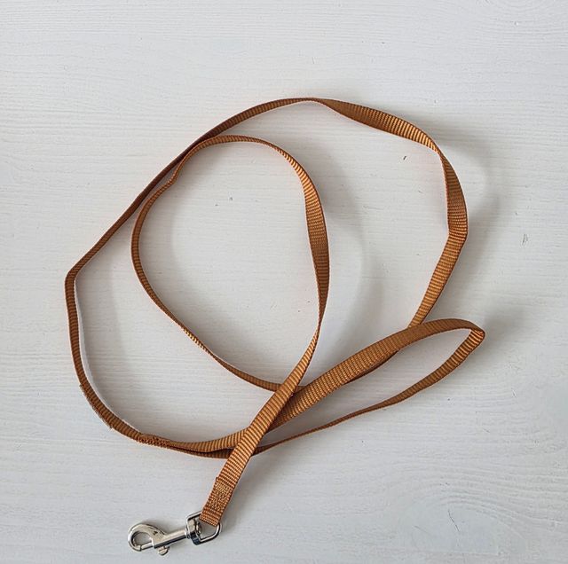 Arnés para mascotas con correa