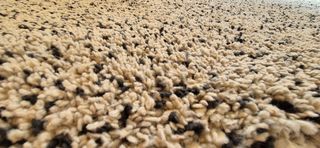 Alfombra Vindum IKEA