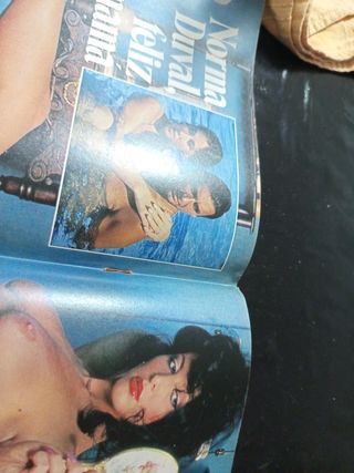 Interviú 1984 n°406