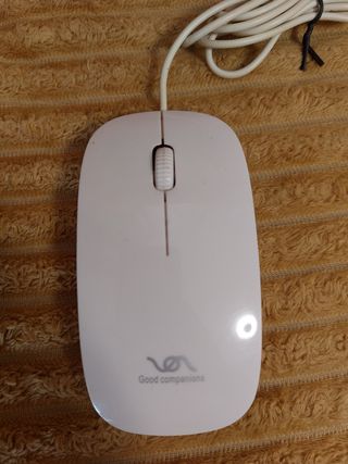 Raton