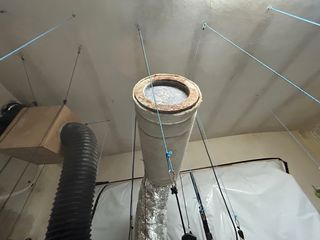 Filtro aire cultivo - usado