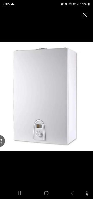 Calentador estanco thermor top sealed 11