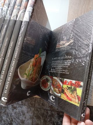 Vendo 10 libros El arte de cocina