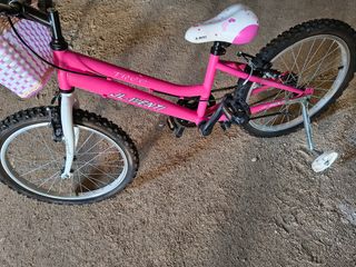 Bicicleta niña  con ruedines