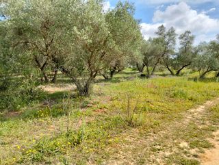 Venta de parcela 