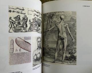 La Braidense La cultura del libro e biblioteche