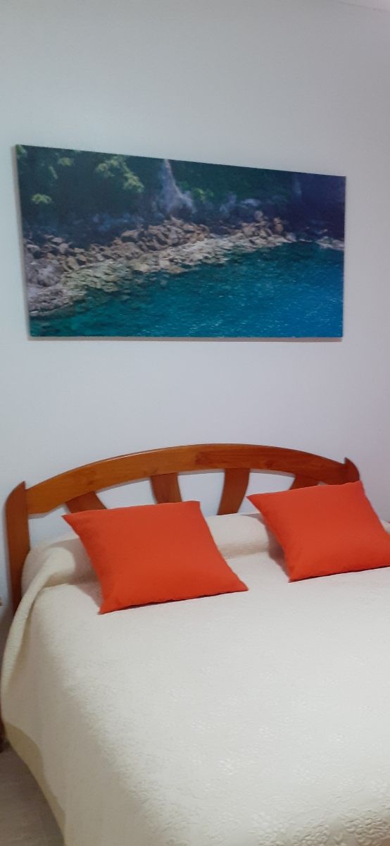 Cuadro de lienzo no hago envíos precio negociable