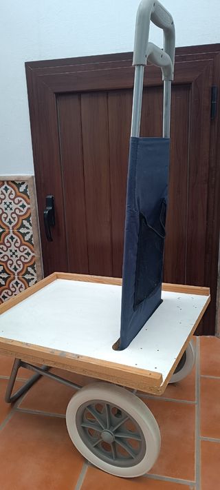 Carro playa plegable