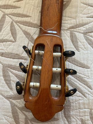 Guitarra clásica española y funda rígida.