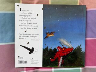 Room on the Broom BIG BOOK