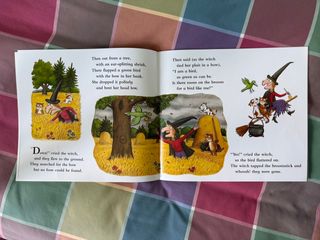 Room on the Broom BIG BOOK