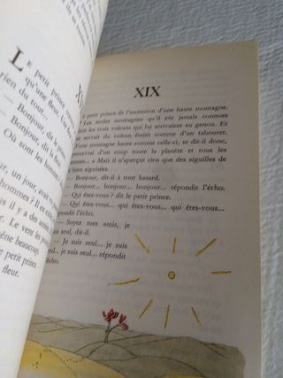 Libros famosos en frances