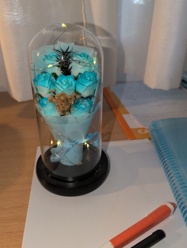 Rosa eterna en cúpula de cristal