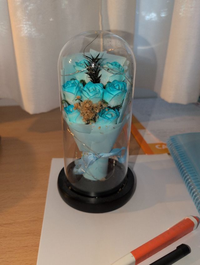 Rosa eterna en cúpula de cristal