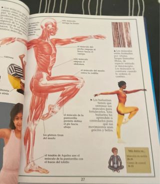 Enciclopedia del cuerpo humano (Spanish Edition)