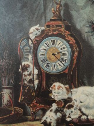 1950 ca. Cromolitografia originale Gatti