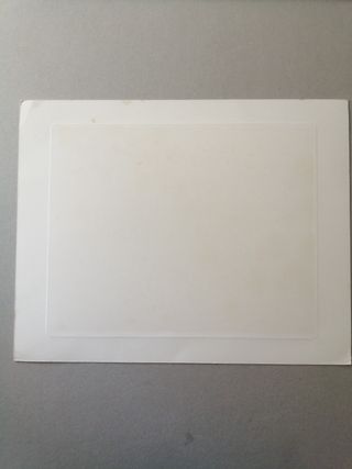 1950 ca. Cromolitografia originale Gatti