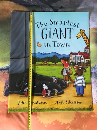 The Smartest Giant in Town BIG BOOK