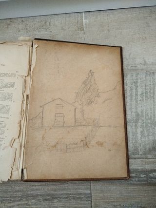 Libro antiguo de las razas humanas