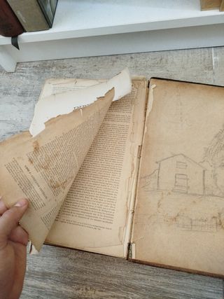Libro antiguo de las razas humanas