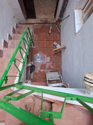Peletería.pintura