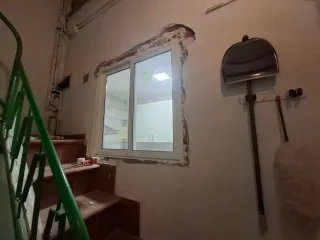 Peletería.pintura