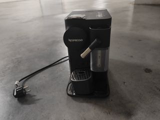 Cafetera latissima