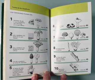 Guia de Hongos (Spanish Edition)