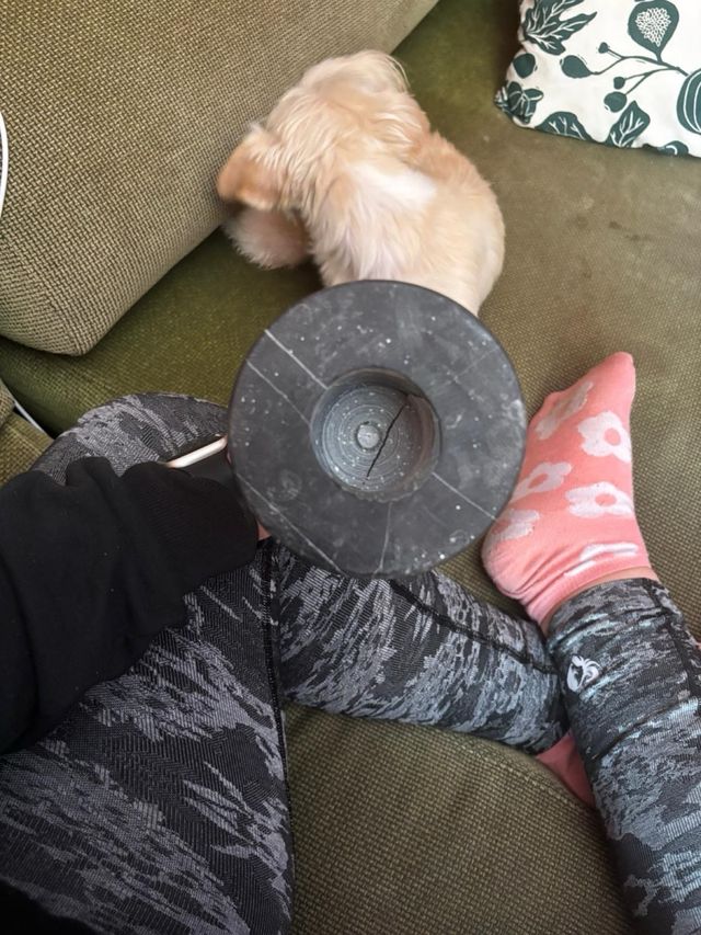 DIMITRI CHIPARUS 1886