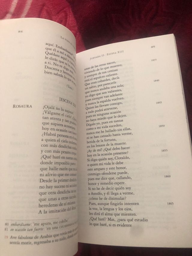 VIDA ES SUEÑO /VVIVES(C H 18)