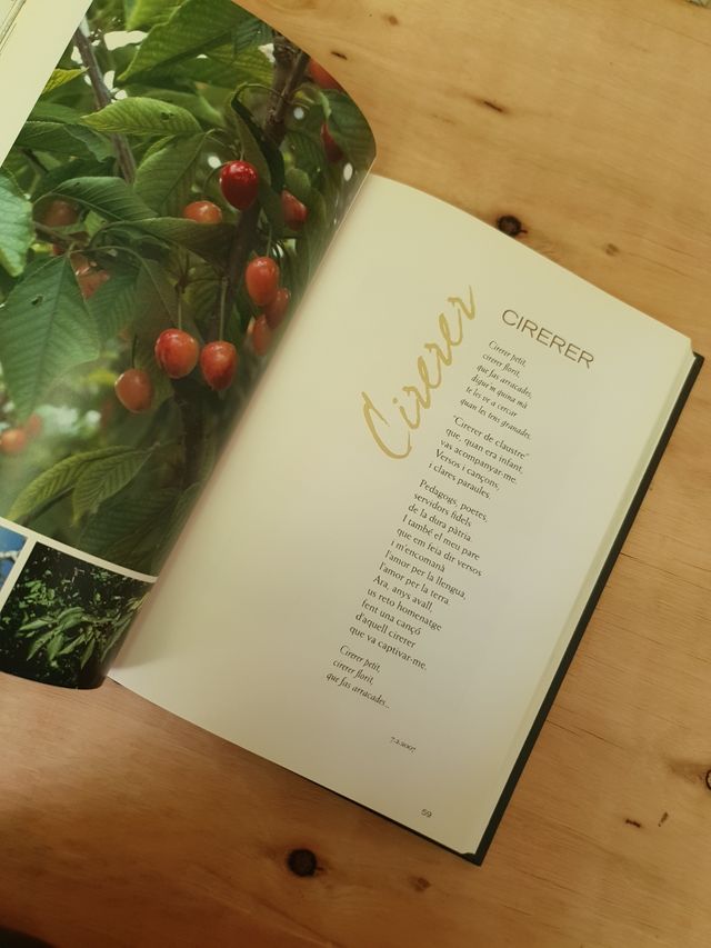 Arbres dels nostres paisatges