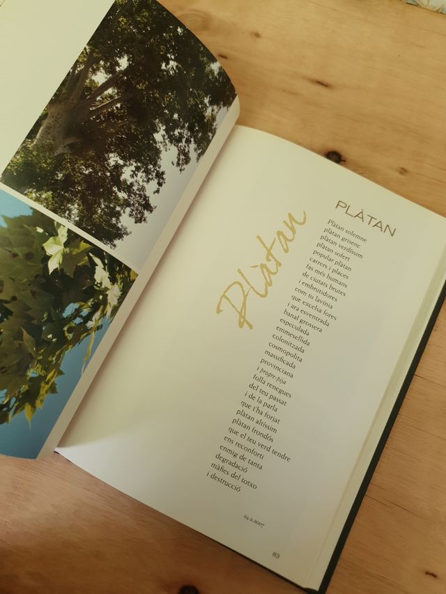 Arbres dels nostres paisatges