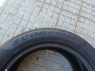NEUMATICOS PIRELLI