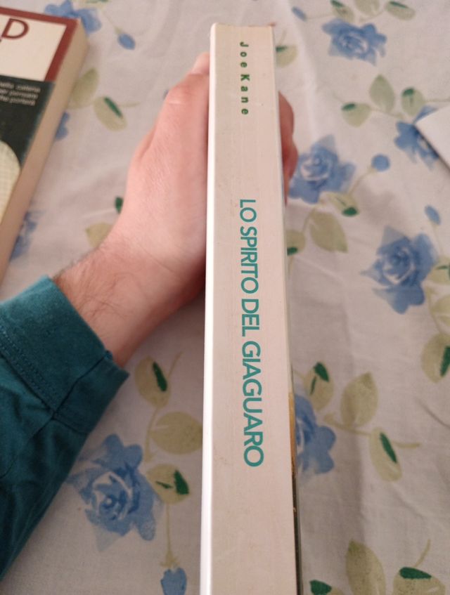 Lo Spirito Del Giaguaro