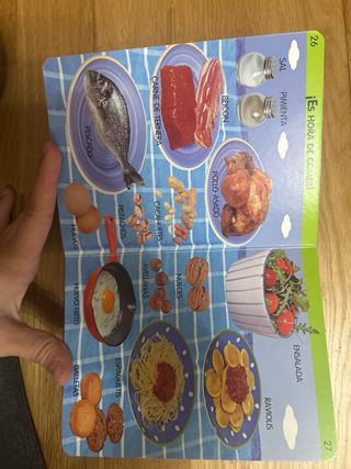 Libro Mis primeras palabgas con imagenes