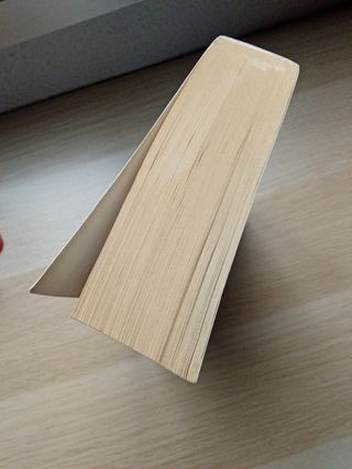 Perdona si te llamo amor