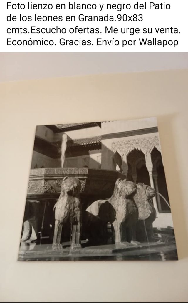 Lienzo blanco&negro Patio Leones Granada.