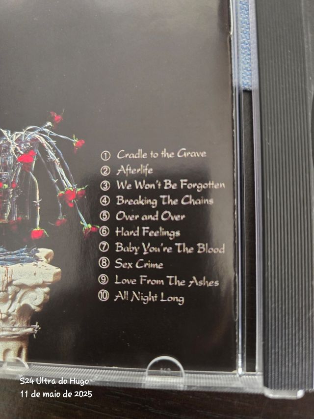 Blackthorne - Afterlife