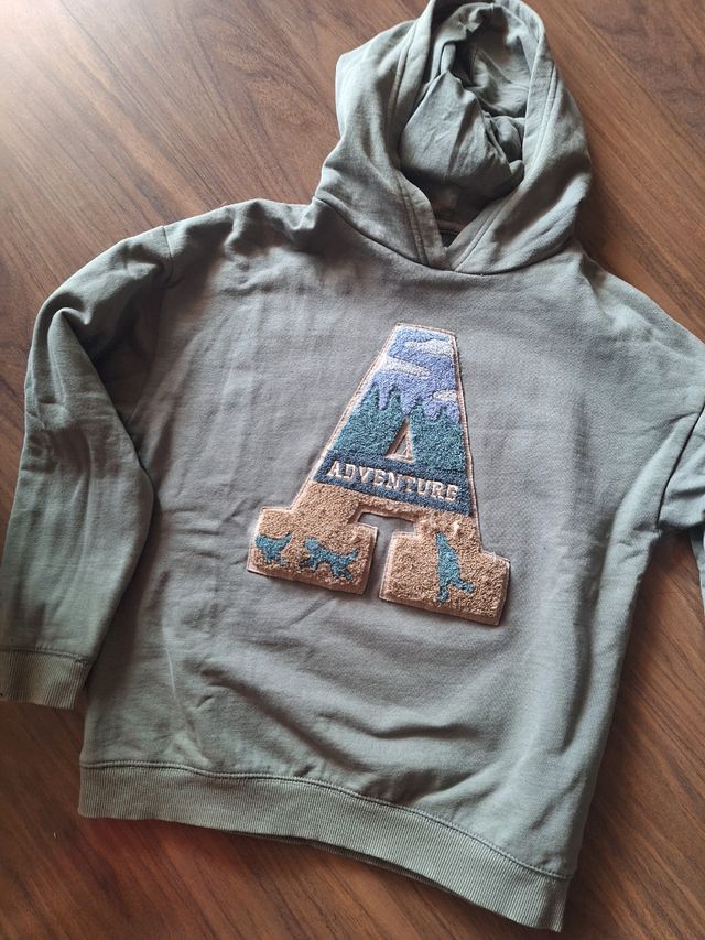 Lote de sudaderas y camiseta niño t 10