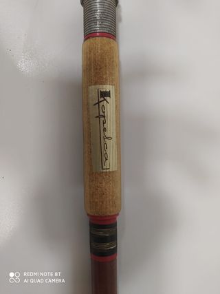 Caña de pesca