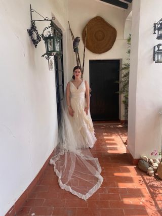 Vestido novia Jesus del Pozo