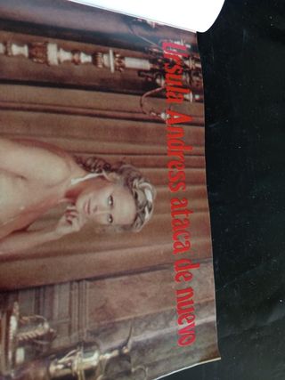 Interviú n°286 (1981)