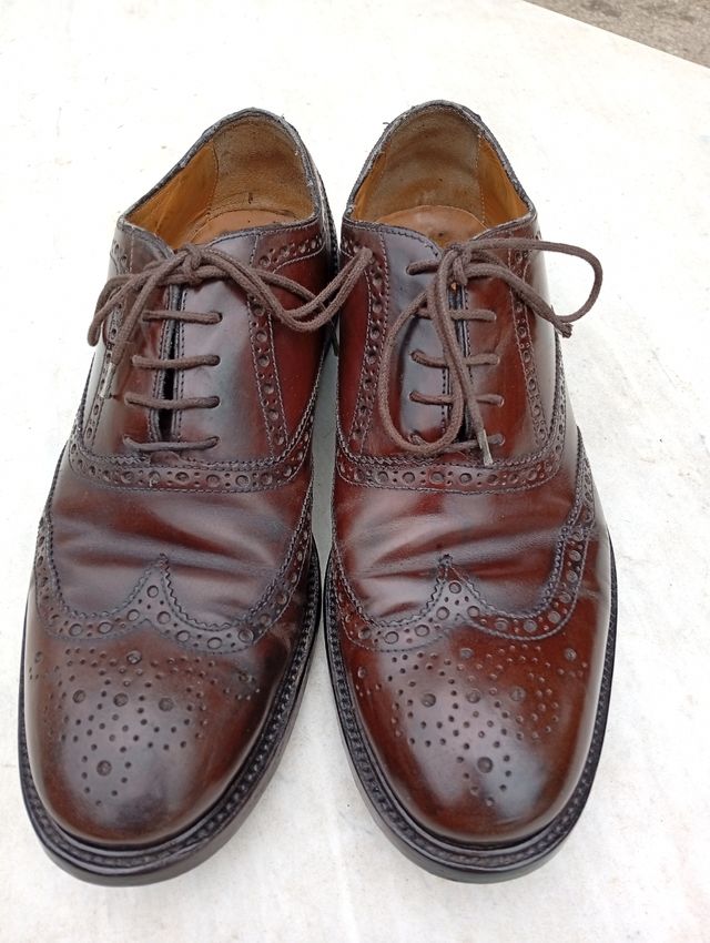Scarpe Derby J. Wilton Marrone