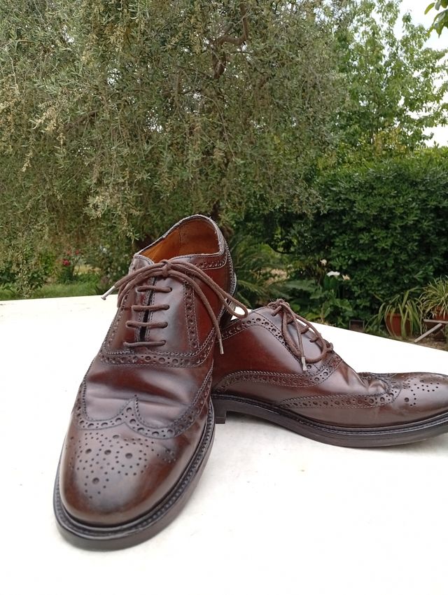 Scarpe Derby J. Wilton Marrone