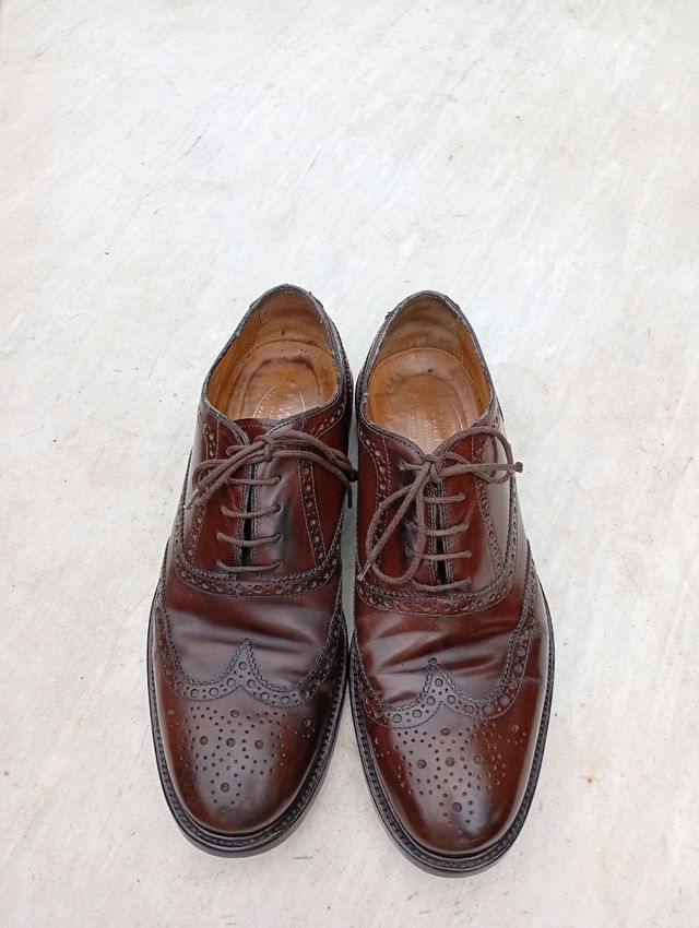 Scarpe Derby J. Wilton Marrone